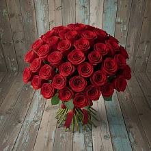 Букет 55 Красных роз Фридом #REPLACE_PRED# Шаховской