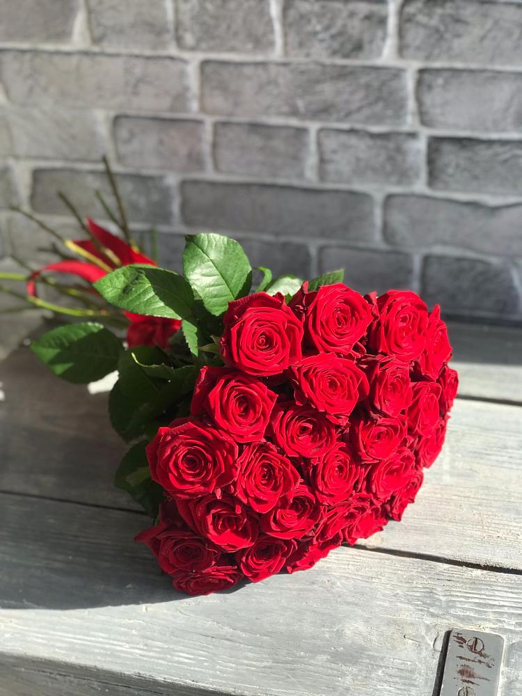 Букет Красные розы Фридом в Шаховской