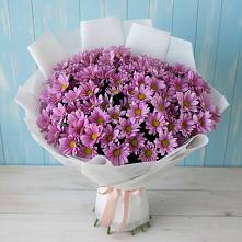 Букет цветов из:  Хризантемы в Шаховской