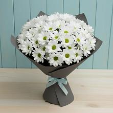 Букет цветов из:  Хризантемы в Шаховской