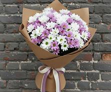 Букет цветов из:  Хризантемы в Шаховской