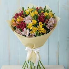 Букет цветов из:  Альстромерии в Шаховской