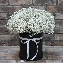 Цветочная композиция из Гипсофила в шляпной коробке в Шаховской