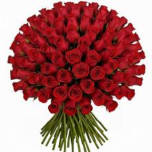 Букет Красные розы Чери Лав в Шаховской