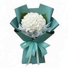 Букет цветов из:  Гортензия #REPLACE_PRED# Шаховской